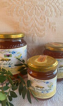 b0d5895c-371a-4730-9225-27402c007753 2